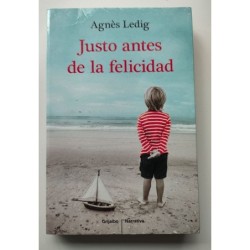 Justo antes de la felicidad