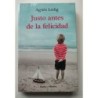 Justo antes de la felicidad