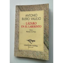 Lázaro en el laberinto