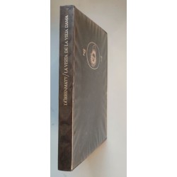 La visita de la vieja dama