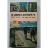 El camino de santiago a pie