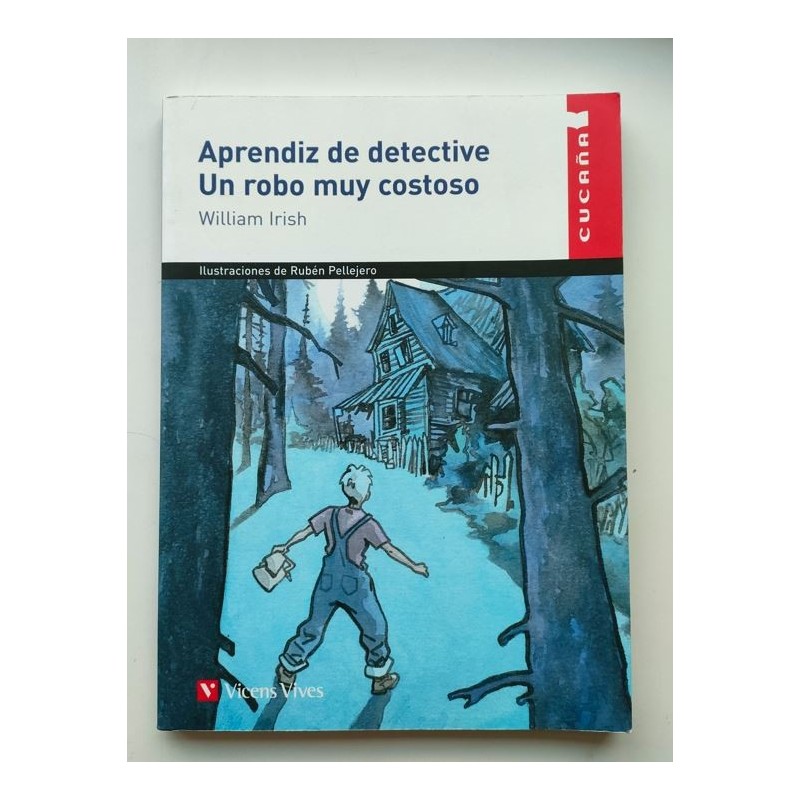 Aprendiz de detective. Un robo muy costoso