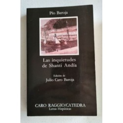 Las inquietudes de Shanti Andía