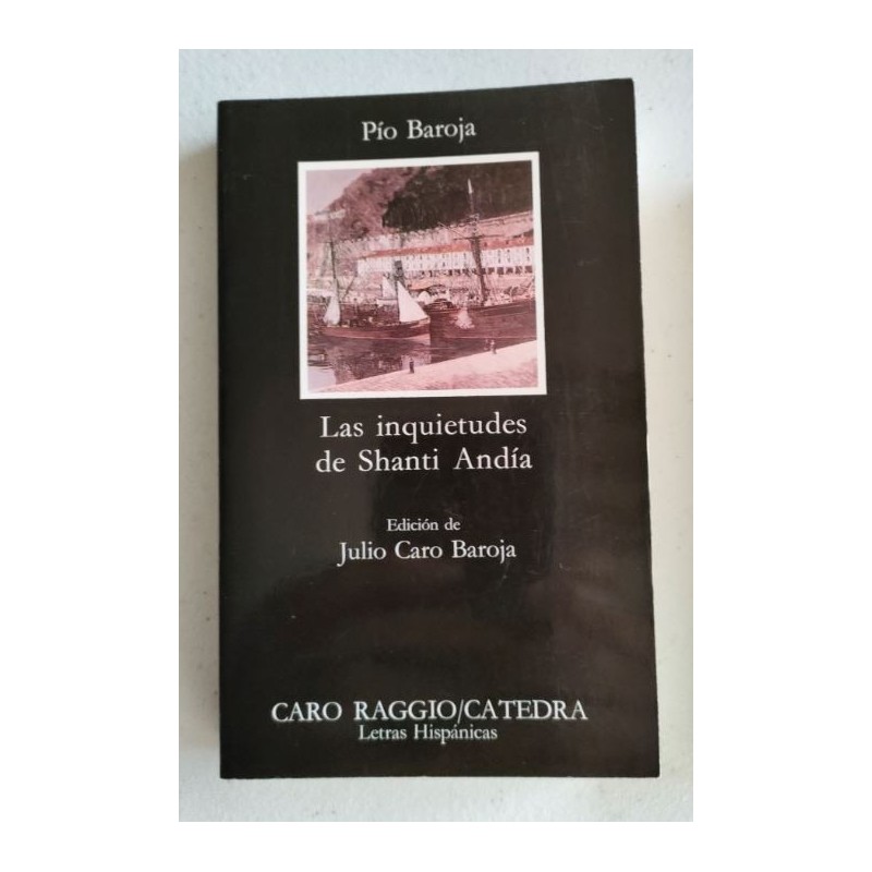 Las inquietudes de Shanti Andía