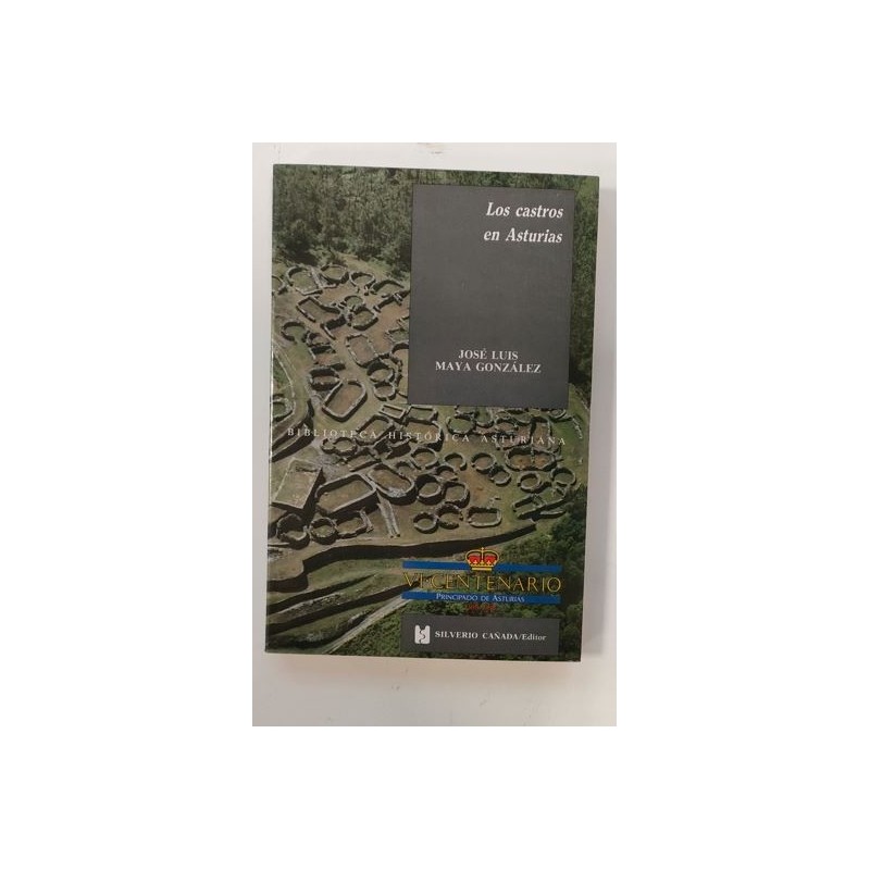 Los castros en Asturias