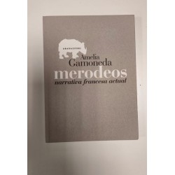 Merodeos, narrativa francesa actual