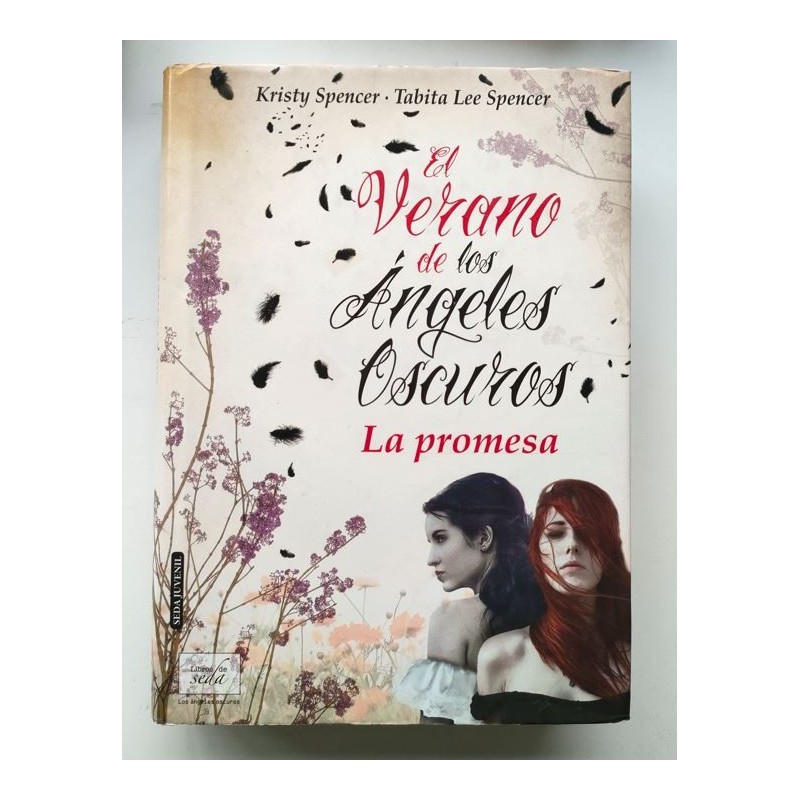 El Verano de los Ángeles Oscuros. La Promesa