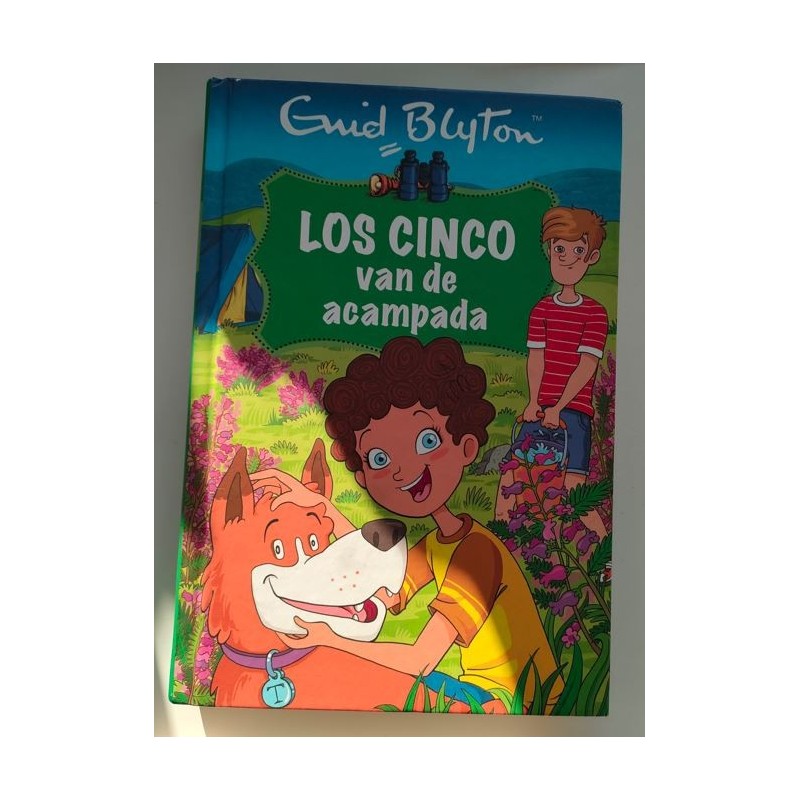 los cinco van de acampada