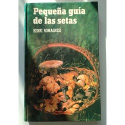 Pequeña guía de las setas