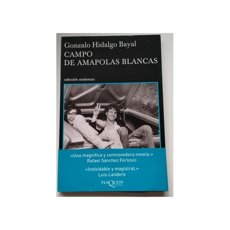 Campo de amapolas blancas