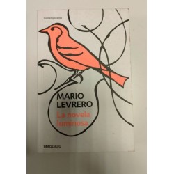 La novela luminosa