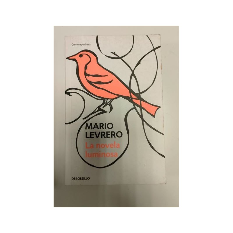 La novela luminosa